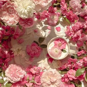 窝窝午夜看片七次郎青草视频
